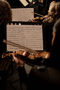 orchestra violinists