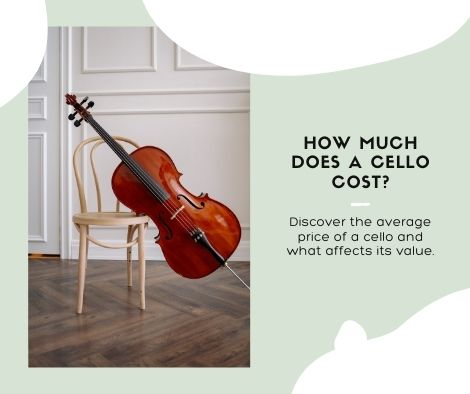 How Much Does A Cello Cost